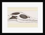 Head of Plesiosaurus by Anonymous