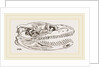 Skull of Python by Anonymous