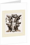 Vertebrre of Boa by Anonymous