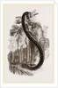 Anaconda by Anonymous