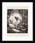 Boa Constrictor by Anonymous