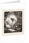 Boa Constrictor by Anonymous