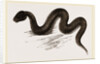 Unadorned Viper by Anonymous
