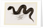 Unadorned Viper by Anonymous