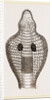 Hood of Naja by Anonymous
