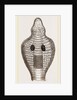 Hood of Naja by Anonymous