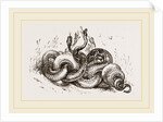 Snakes aroused from hybernation by Anonymous