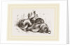 Snakes aroused from hybernation by Anonymous
