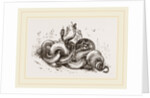 Snakes aroused from hybernation by Anonymous