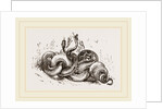 Snakes aroused from hybernation by Anonymous
