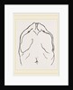 Head of Menopome by Anonymous