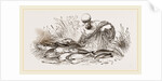 Group of Fishes by Anonymous