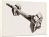 Tusk of Sword-fish driven into timbers a ship by Anonymous