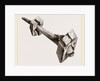 Tusk of Sword-fish driven into timbers a ship by Anonymous
