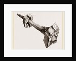 Tusk of Sword-fish driven into timbers a ship by Anonymous