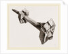 Tusk of Sword-fish driven into timbers a ship by Anonymous