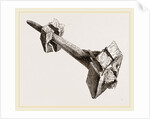 Tusk of Sword-fish driven into timbers a ship by Anonymous