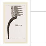 Stage-Net by Anonymous