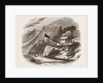 Salmon-fishing on Lake Sostrand Norway by Anonymous