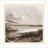 Pilchard fishing in Mount's Bay Cornwall, UK by Anonymous
