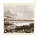 Pilchard fishing in Mount's Bay Cornwall, UK by Anonymous