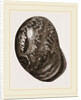 Globose Bulla by Anonymous