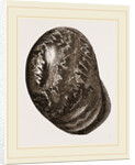 Globose Bulla by Anonymous
