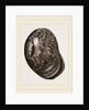 Globose Bulla by Anonymous