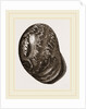 Globose Bulla by Anonymous
