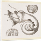 Twisted Turbo by Anonymous