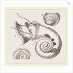 Twisted Turbo by Anonymous