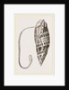 Episcopal Mitre by Anonymous