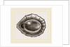 Spoon shaped Limpet by Anonymous