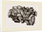 Pholas striatus in wood by Anonymous
