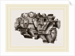 Pholas striatus in wood by Anonymous
