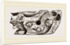 Pholas dorsalis in wood by Anonymous