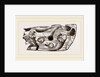 Pholas dorsalis in wood by Anonymous