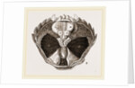 Carcinus maenas open by Anonymous
