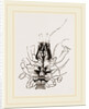 Under Side of Thorax Cenobita by Anonymous
