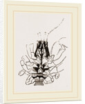 Under Side of Thorax Cenobita by Anonymous