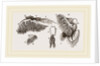 Branchiae of Stomapods by Anonymous