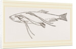 Lerneans on Sprat by Anonymous