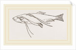 Lerneans on Sprat by Anonymous