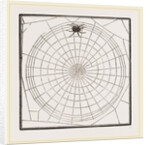 Geometric Web by Anonymous