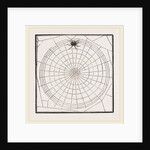 Geometric Web by Anonymous