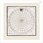 Geometric Web by Anonymous