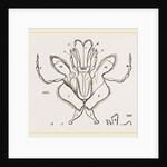 Parts of Mouth various Insects by Anonymous