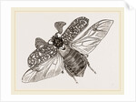 Beetle flying by Anonymous