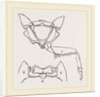 Parts of Thorax Beetle by Anonymous
