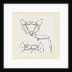 Parts of Thorax Beetle by Anonymous